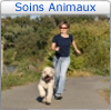 Soins et promenades d'animaux