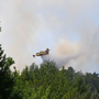 débroussaillage : canadair qui éteint un feu de forêt